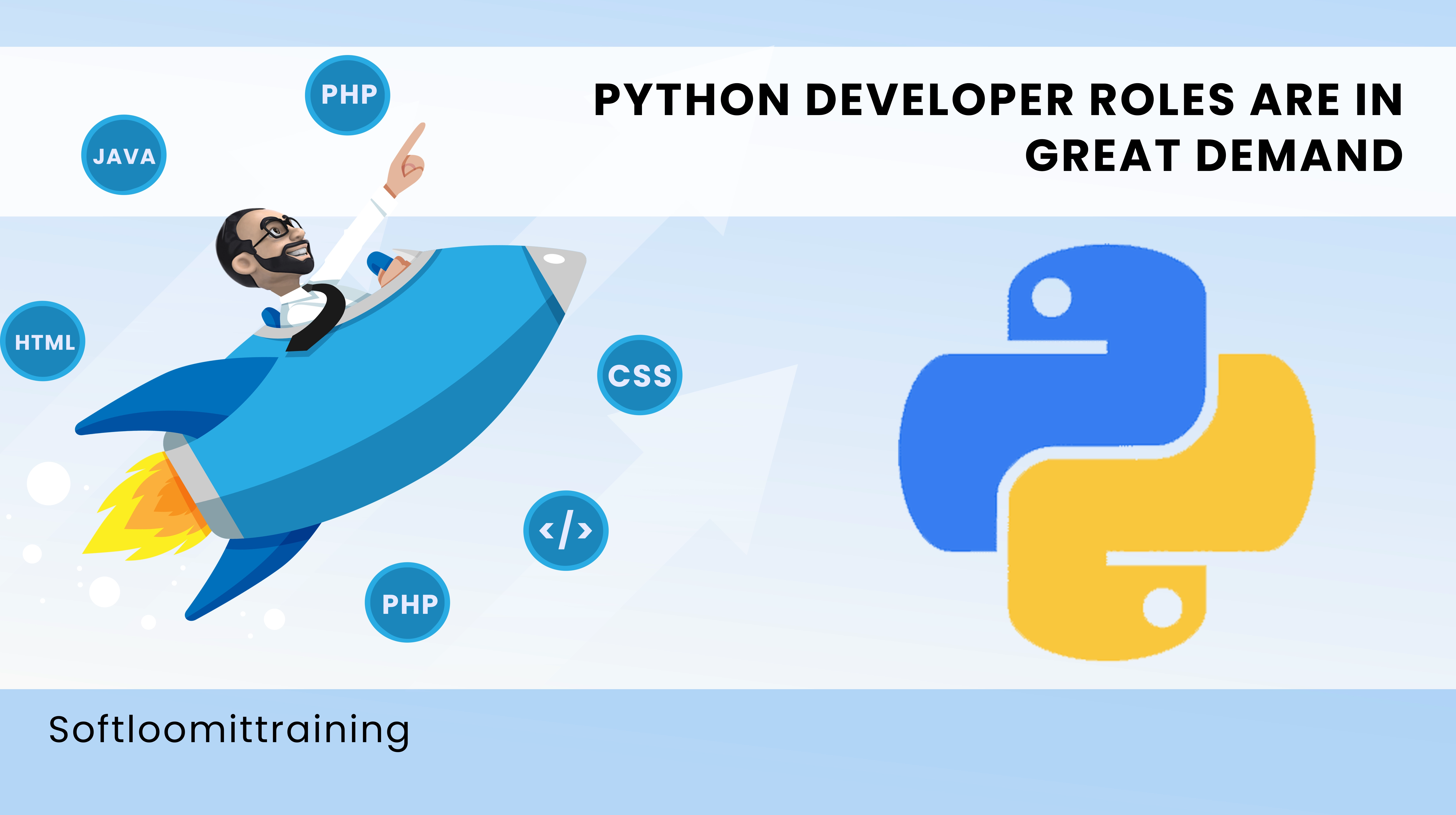 Python Developer Roles
