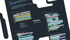 best programming language