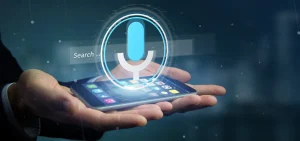Voice search optimization